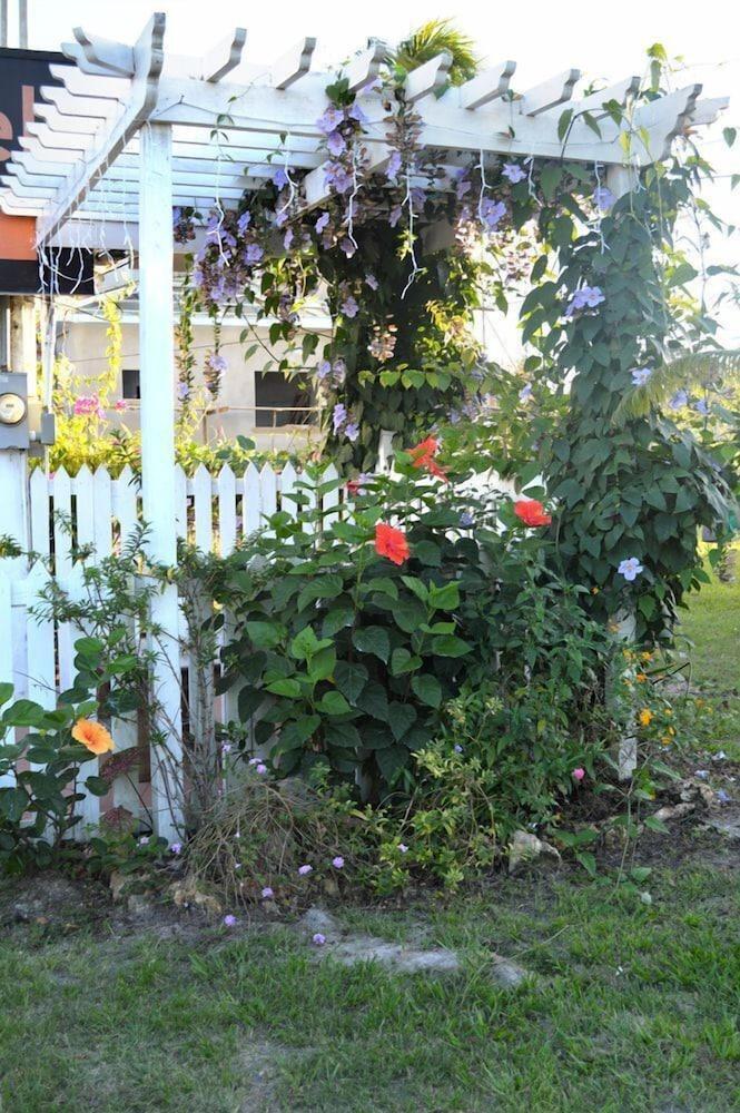 El Rey Hotel Belmopan Eksteriør billede